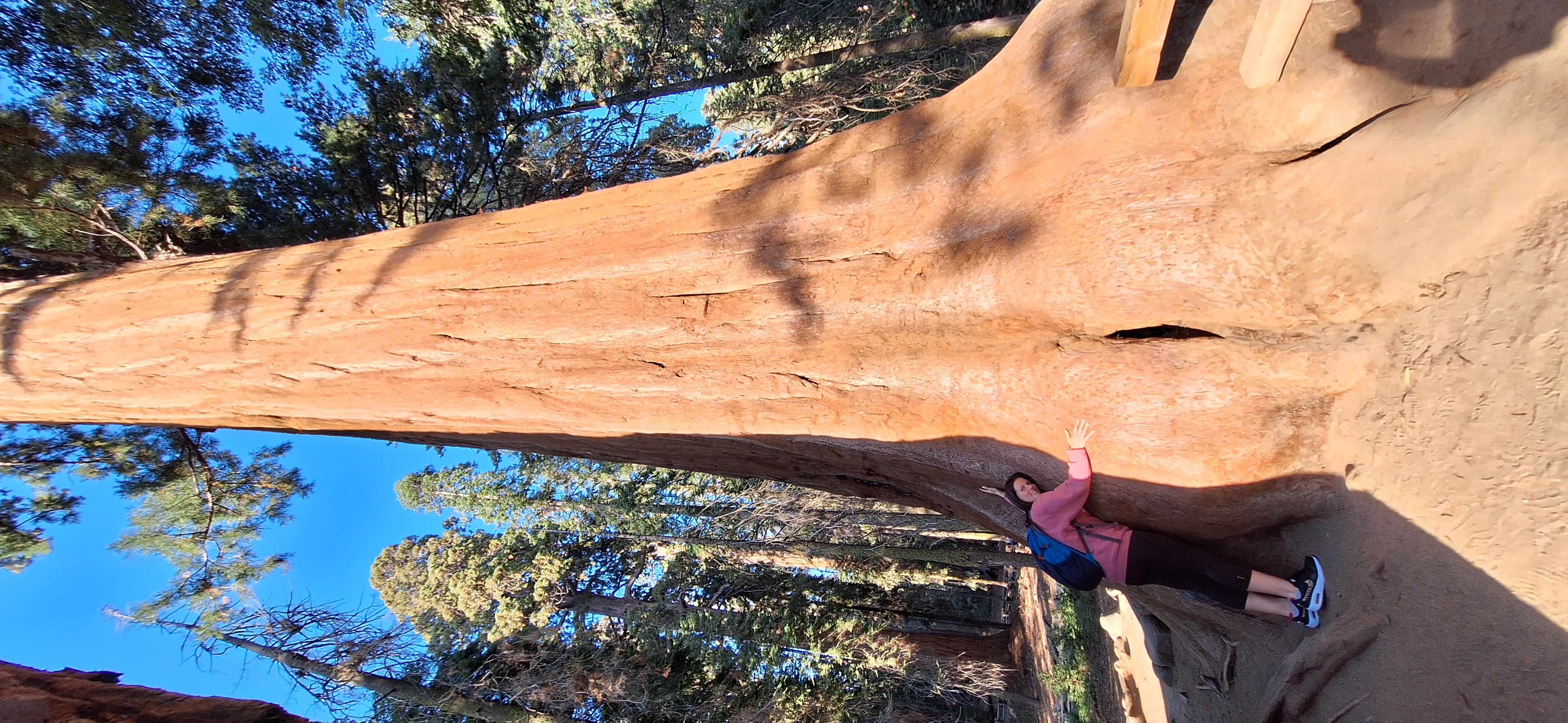 Sequoia National Park